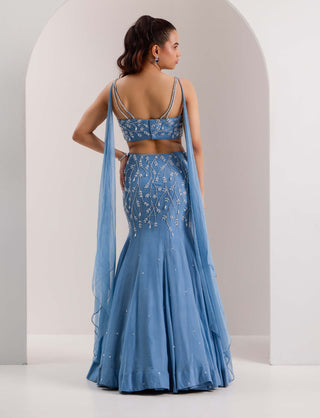 Nyla blue mermaid lehenga and blouse