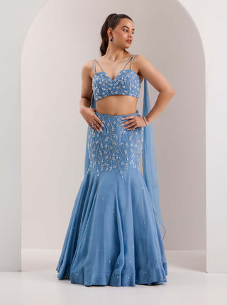 Nyla blue mermaid lehenga and blouse