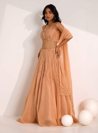 Diora rose gold lehenga set