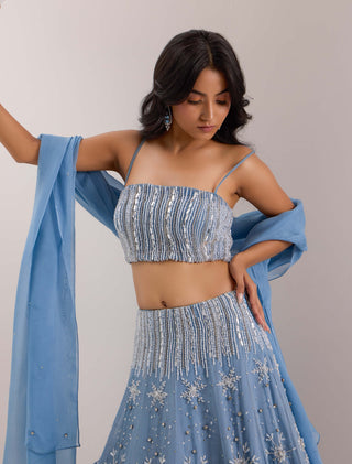 Elsa blue snowflake scatter lehenga set