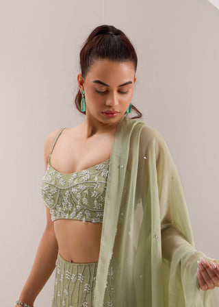 Kaena mint green lehenga set