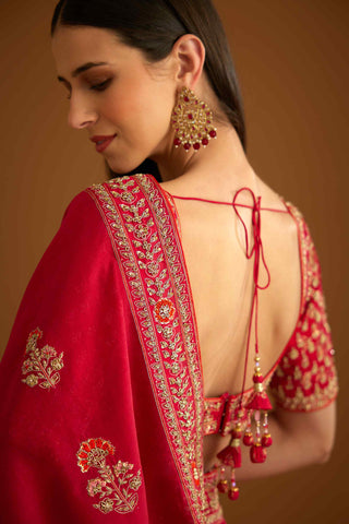 Shyam Narayan Prasad-Red Zardozi Embroidery Sari And Blouse-INDIASPOPUP.COM