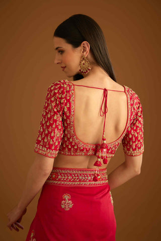 Shyam Narayan Prasad-Red Zardozi Embroidery Sari And Blouse-INDIASPOPUP.COM