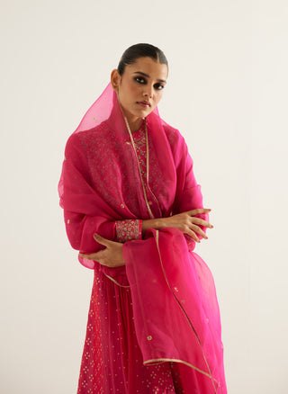 Shyam Narayan Prasad-Fuchsia Zardozi Embroidered Anarkali Set-INDIASPOPUP.COM