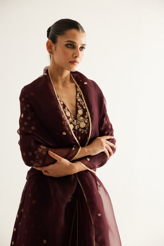 Shyam Narayan Prasad-Wine Zardozi Embroidered Anarkali Set-INDIASPOPUP.COM