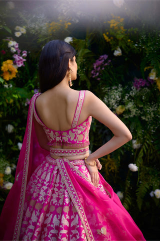 Fuchsia Pink Embroidered Lehenga Set by Shyam Narayan Prasad, available on Indiaspopup.com