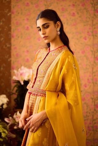 Amber Mustrad Yellow Anarkali Set by Shyam Narayan Prasad available on Indiaspopup.com