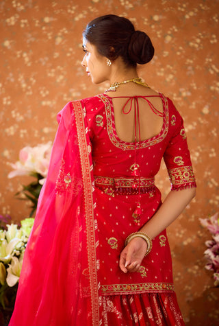 Raspberry Red Maroon Kurta Lehenga Set by Shyam Narayan Prasad available on Indiaspopup.com