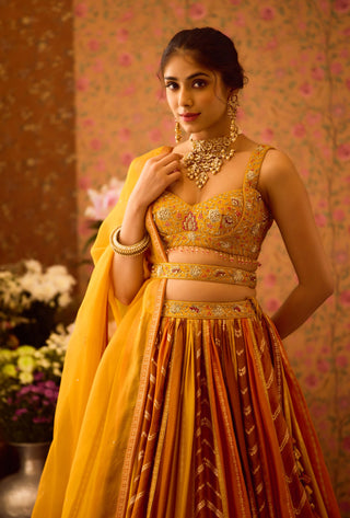 Gold Yellow Mustard Lehenga Set by Shyam Narayan Prasad available on Indiaspopup.com