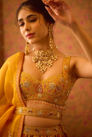 Gold Yellow Mustard Lehenga Set by Shyam Narayan Prasad available on Indiaspopup.com