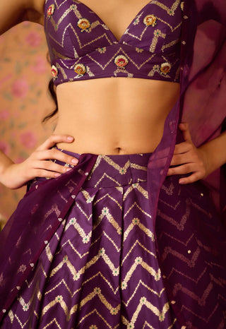 Purple Wine Pleated Brocade Lehenga Set by Shyam Narayan Prasad available on Indiaspopup.com