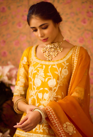 Yellow Orange Choli And Lehenga Set by Shyam Narayan Prasad available on Indiaspopup.com