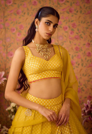 Maize Yellow Lehenga Set by Shyam Narayan Prasad available on Indiaspopup.com