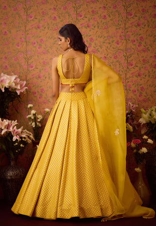 Maize Yellow Lehenga Set by Shyam Narayan Prasad available on Indiaspopup.com