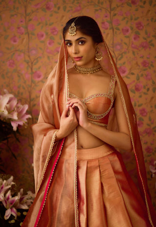 Gold Pink Lehenga Set by Shyam Narayan Prasad available on Indiaspopup.com