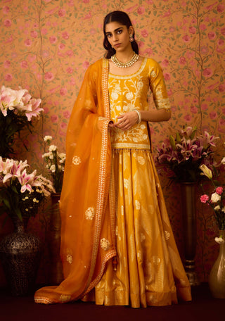 Gold Yellow Choli And Skirt Set by Shyam Narayan Prasad available on Indiaspopup.com