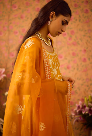 Gold Yellow Choli And Skirt Set by Shyam Narayan Prasad available on Indiaspopup.com