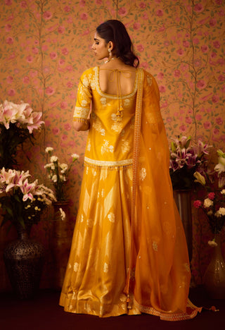 Gold Yellow Choli And Skirt Set by Shyam Narayan Prasad available on Indiaspopup.com