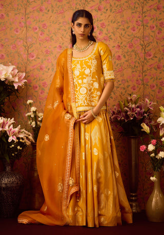 Gold Yellow Choli And Skirt Set by Shyam Narayan Prasad available on Indiaspopup.com