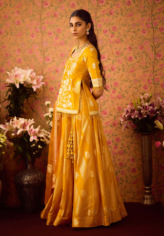 Gold Yellow Choli And Skirt Set by Shyam Narayan Prasad available on Indiaspopup.com