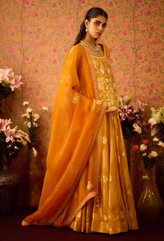 Gold Yellow Choli And Skirt Set by Shyam Narayan Prasad available on Indiaspopup.com