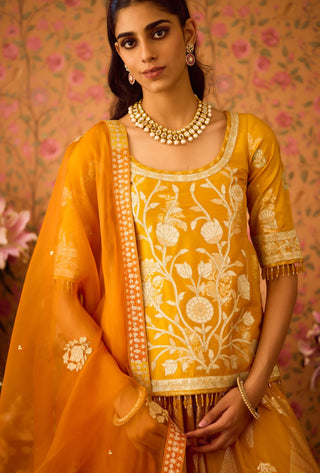 Gold Yellow Choli And Skirt Set by Shyam Narayan Prasad available on Indiaspopup.com