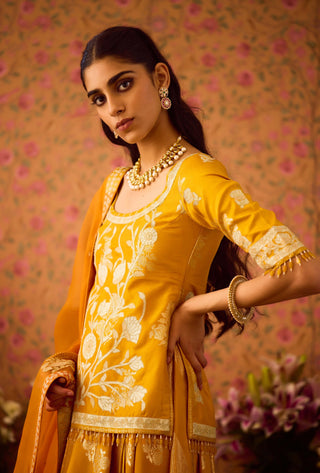 Gold Yellow Choli And Skirt Set by Shyam Narayan Prasad available on Indiaspopup.com