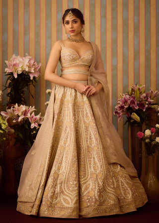 Smoke Grey Gold Applique Lehenga Set by Shyam Narayan Prasad available on Indiaspopup.com