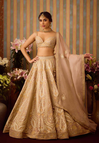 Smoke Grey Gold Applique Lehenga Set by Shyam Narayan Prasad available on Indiaspopup.com