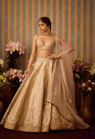 Smoke Grey Gold Applique Lehenga Set by Shyam Narayan Prasad available on Indiaspopup.com