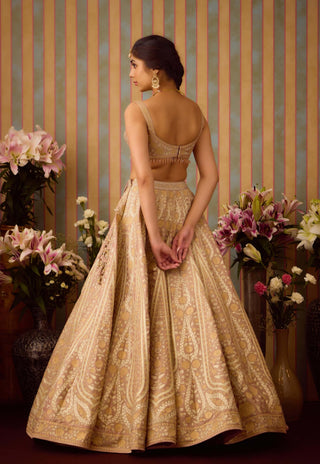 Smoke Grey Gold Applique Lehenga Set by Shyam Narayan Prasad available on Indiaspopup.com