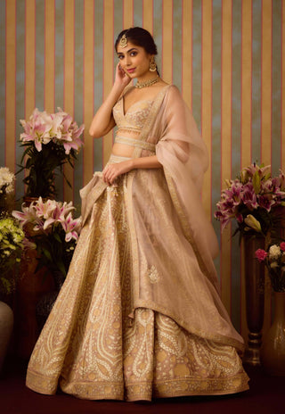 Smoke Grey Gold Applique Lehenga Set by Shyam Narayan Prasad available on Indiaspopup.com