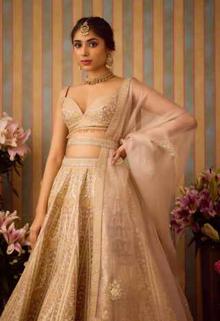 Smoke Grey Gold Applique Lehenga Set by Shyam Narayan Prasad available on Indiaspopup.com