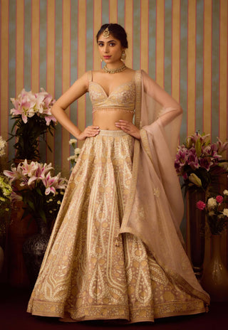 Smoke Grey Gold Applique Lehenga Set by Shyam Narayan Prasad available on Indiaspopup.com