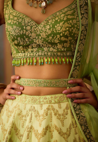 Meadow Green Lehenga Set by Shyam Narayan Prasad available on Indiaspopup.com