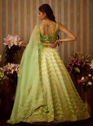 Meadow Green Lehenga Set by Shyam Narayan Prasad available on Indiaspopup.com