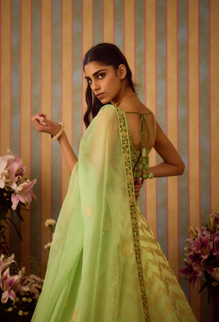 Meadow Green Lehenga Set by Shyam Narayan Prasad available on Indiaspopup.com