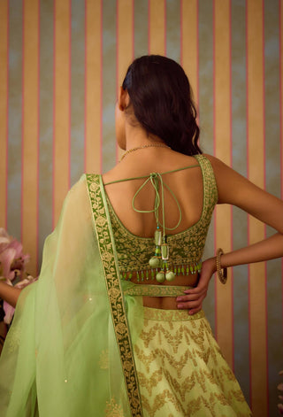 Meadow Green Lehenga Set by Shyam Narayan Prasad available on Indiaspopup.com