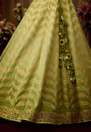 Meadow Green Lehenga Set by Shyam Narayan Prasad available on Indiaspopup.com