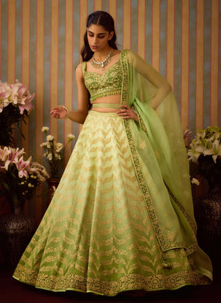 Meadow Green Lehenga Set by Shyam Narayan Prasad available on Indiaspopup.com