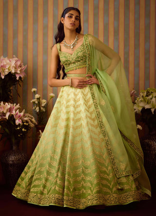 Meadow Green Lehenga Set by Shyam Narayan Prasad available on Indiaspopup.com