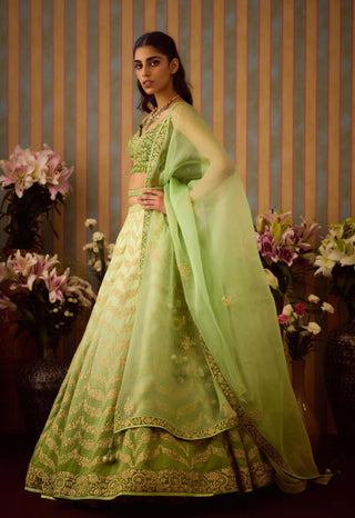 Meadow Green Lehenga Set by Shyam Narayan Prasad available on Indiaspopup.com