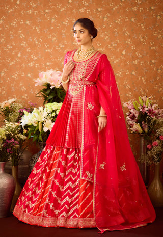 Scarlet Red Maroon Lehenga Set by Shyam Narayan Prasad available on Indiaspopup.com