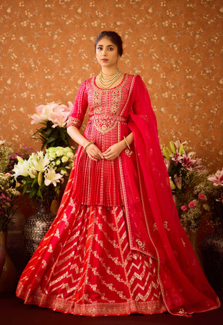 Scarlet Red Maroon Lehenga Set by Shyam Narayan Prasad available on Indiaspopup.com