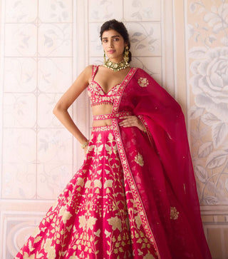 Carmine rose dori embroidered lehenga set