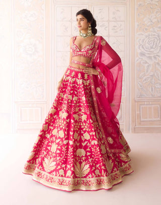 Carmine rose dori embroidered lehenga set