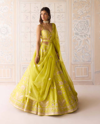 Spring green gold applique lehenga set