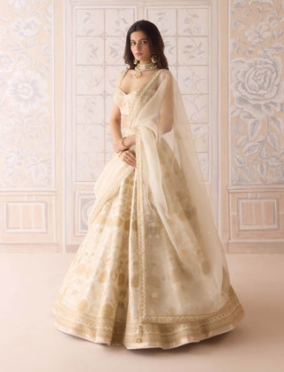 Ivory gold applique embroidered lehenga set