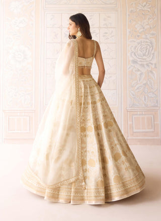 Ivory gold applique embroidered lehenga set