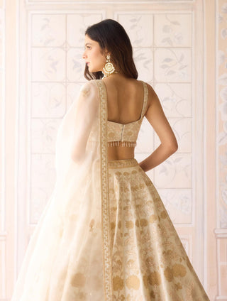Ivory gold applique embroidered lehenga set